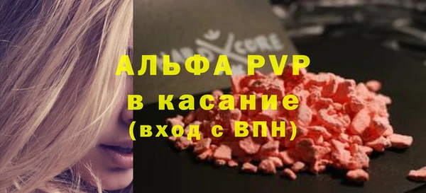 прущие грибы Богданович