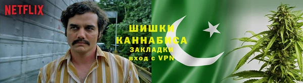 прущие грибы Богданович