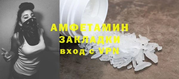 прущие грибы Богданович