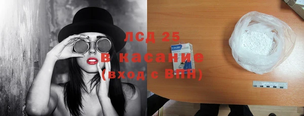 прущие грибы Богданович