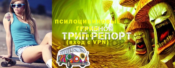 прущие грибы Богданович
