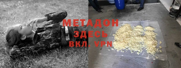 прущие грибы Богданович