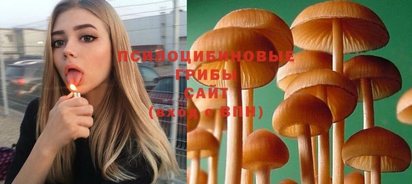 прущие грибы Богданович