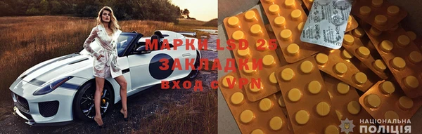 прущие грибы Богданович