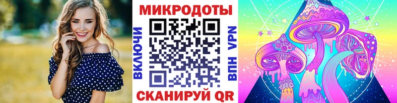 где найти   Абакан  Псилоцибиновые грибы MAGIC MUSHROOMS 
